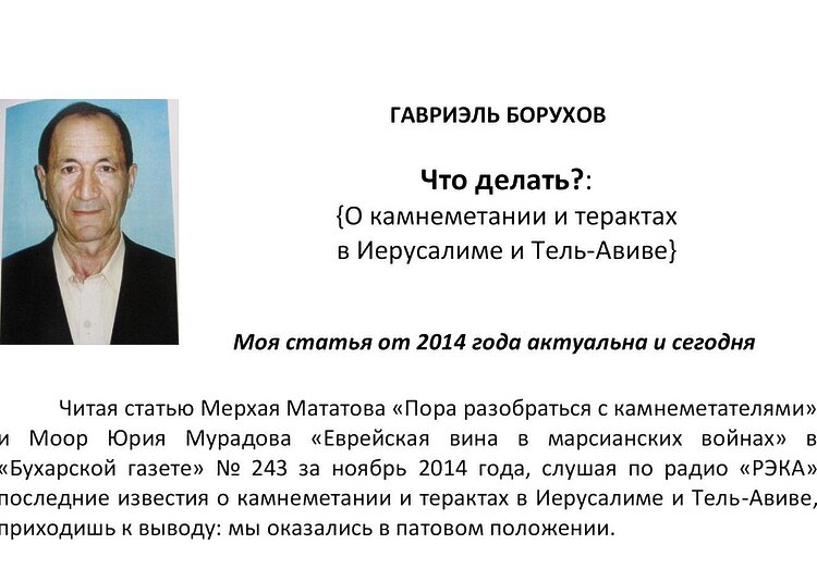Борухов, Гавриэль. Что делать? : О камнеметании