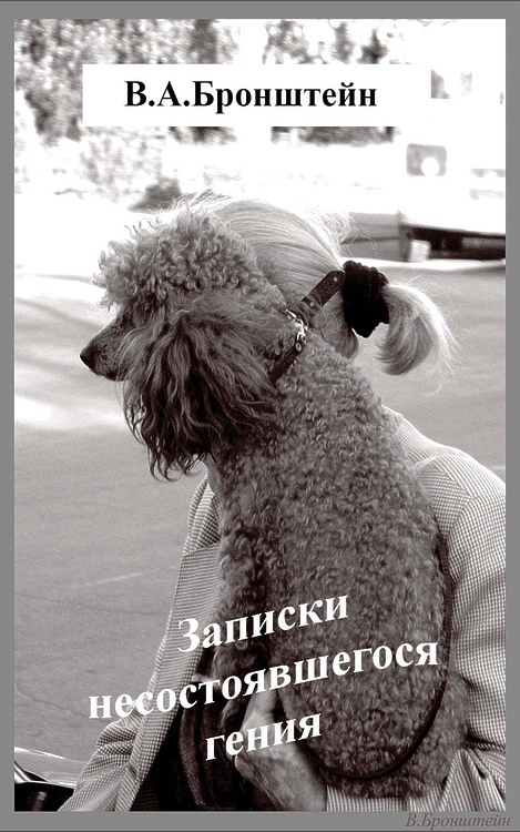 Бронштейн, Виталий. Записки несостоявшегося гения