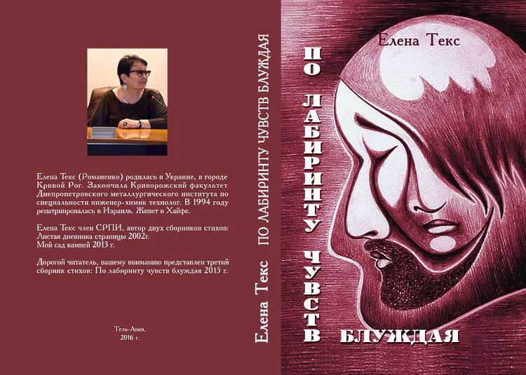 Текс Елена. По лабиринту чувств блуждая